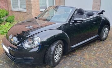 Gebrauchte VW Beetle
